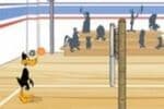 Volleyball de Canard Jeu