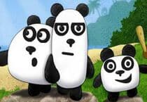 3 Pandas