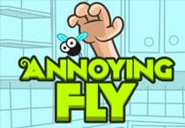 Annoying Fly