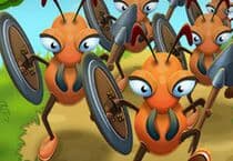 Ants Warriors