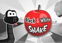 Black and White Snake