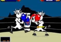 Boxeur de Vaches
