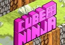 Cube Ninja