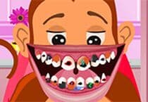 Dentiste Pour Animaux: Singe