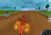 Donkey Kong Bike 3D