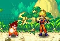 Dragon Ball Fighting