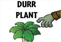 Durr Plant