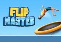 Flip Master