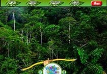 Forêt amazonienne Objets cachés