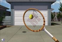 Garage Door Tennis