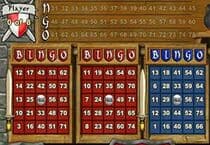 Guerre du bingo