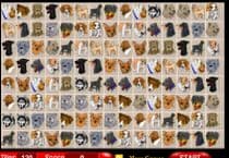 Mahjong Des Chiens Mahjong Des Chiens