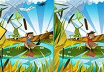 Des Différence : Canard Et Grenouille Des Différence : Canard Et Grenouille