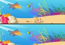 des différences Vie aquatique des différences Vie aquatique