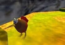 Kiwi 64