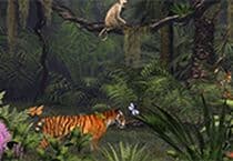 Lettres Cachées Dans La Jungle Lettres Cachées Dans La Jungle
