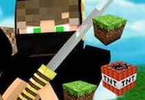 Minecraft Ninja