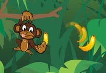 Monkey Brothers Monkey Brothers