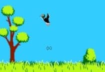 Nintendo Duck Hunt