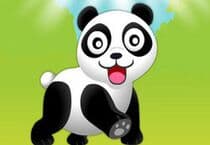 Panda and Bamboo