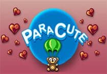 Paracute