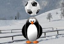 Penguin Soccer