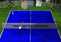 Ping Pong 3D