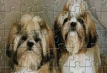 Puzzle de Chiot