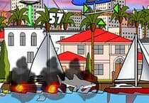 Requin de Miami