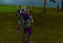 Sherwood MMORPG