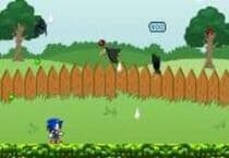 Sonic Bataille de Jardin