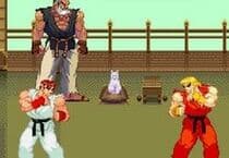 Street Fighter - LoA