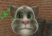 Talking Tom Cat