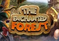 The Enchanted Forest