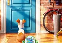 The Secret Life of Pets Chiffres cachés