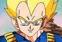 Vegeta Dress Up