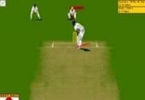 Virtual Cricket