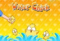 Water Chick