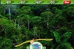 Forêt amazonienne Objets cachés Jeu