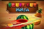 Fruit Cut Ninja Jeu