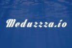 Meduzzza.io Jeu