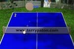 Ping Pong 3D Jeu