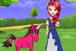 Pony Princess Jeu