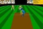 Virtual Cricket 2 Jeu