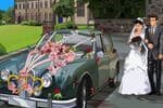 Wedding Car Decoration Jeu